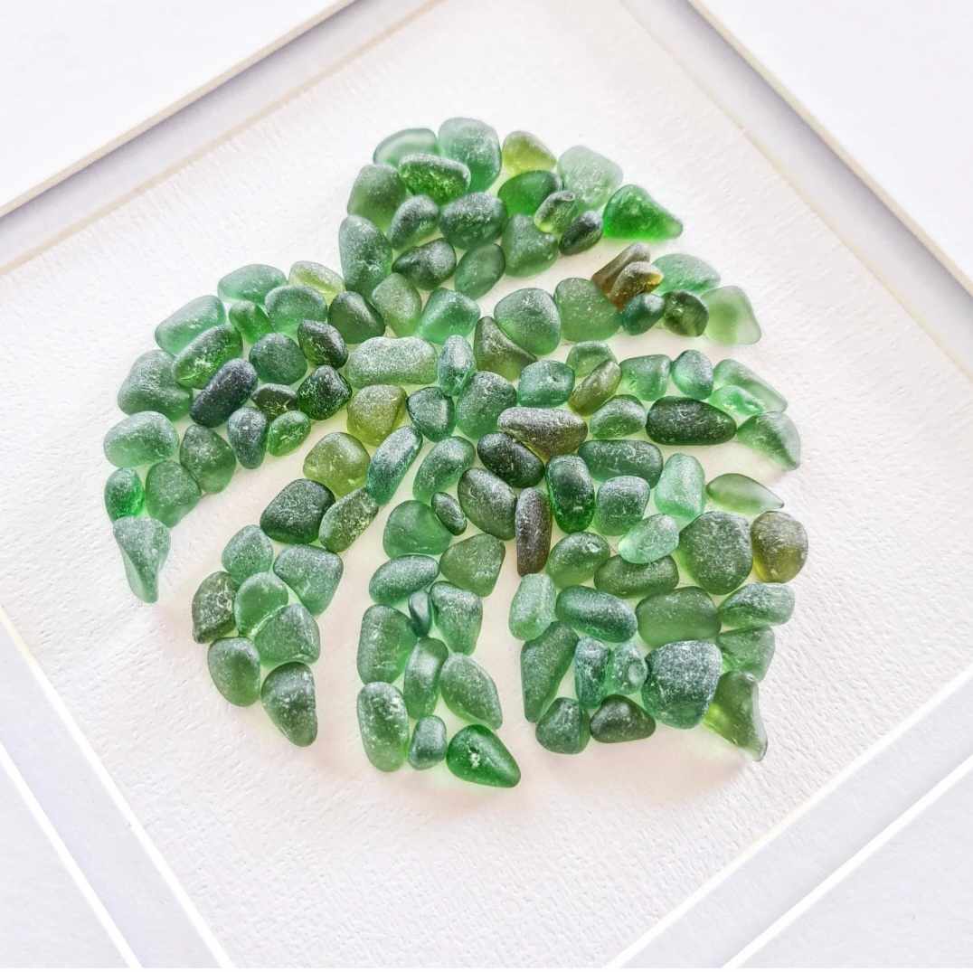 Monstera Leaf - Sea Treasure Frame