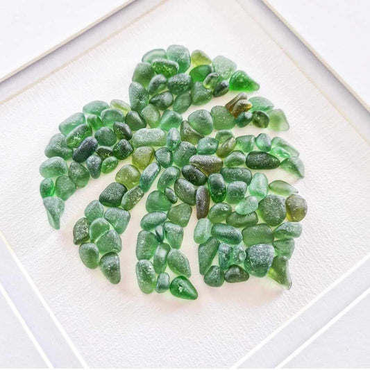 Monstera Leaf - Sea Treasure Frame