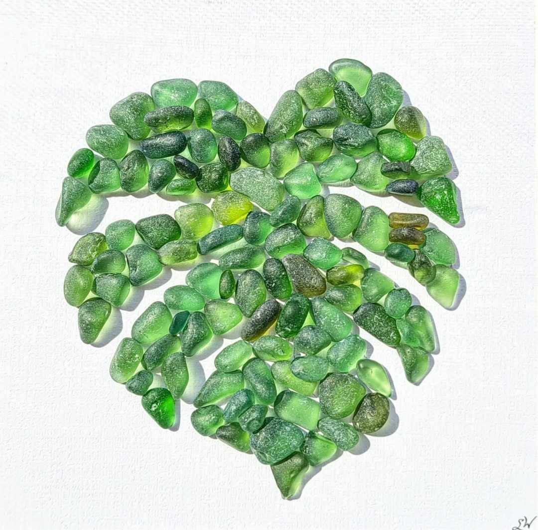 Monstera Leaf - Sea Treasure Frame