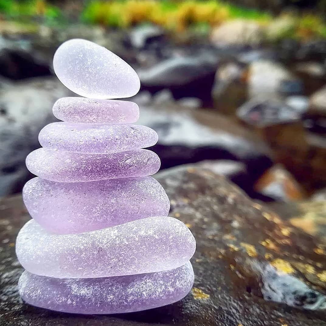 Lavender Drifts 8x8 Print