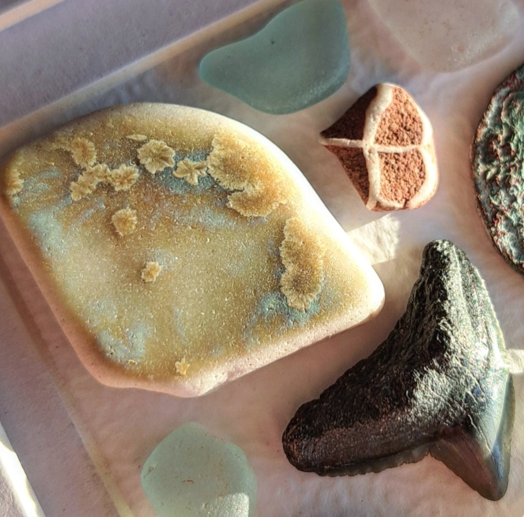 Ocean's Cabinet of Curiosities - Sea Treasure Frame