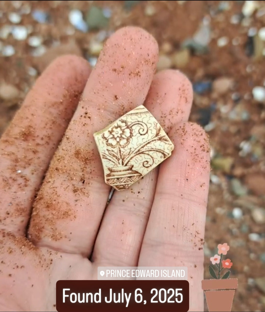 Garden of the Forgotten Palace - Sea Treasure Frame