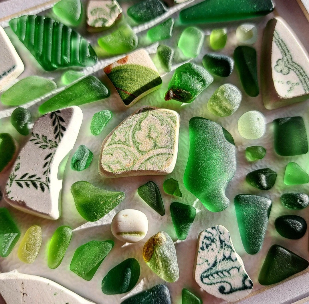 Summer's Canopy - Sea Treasure Frame