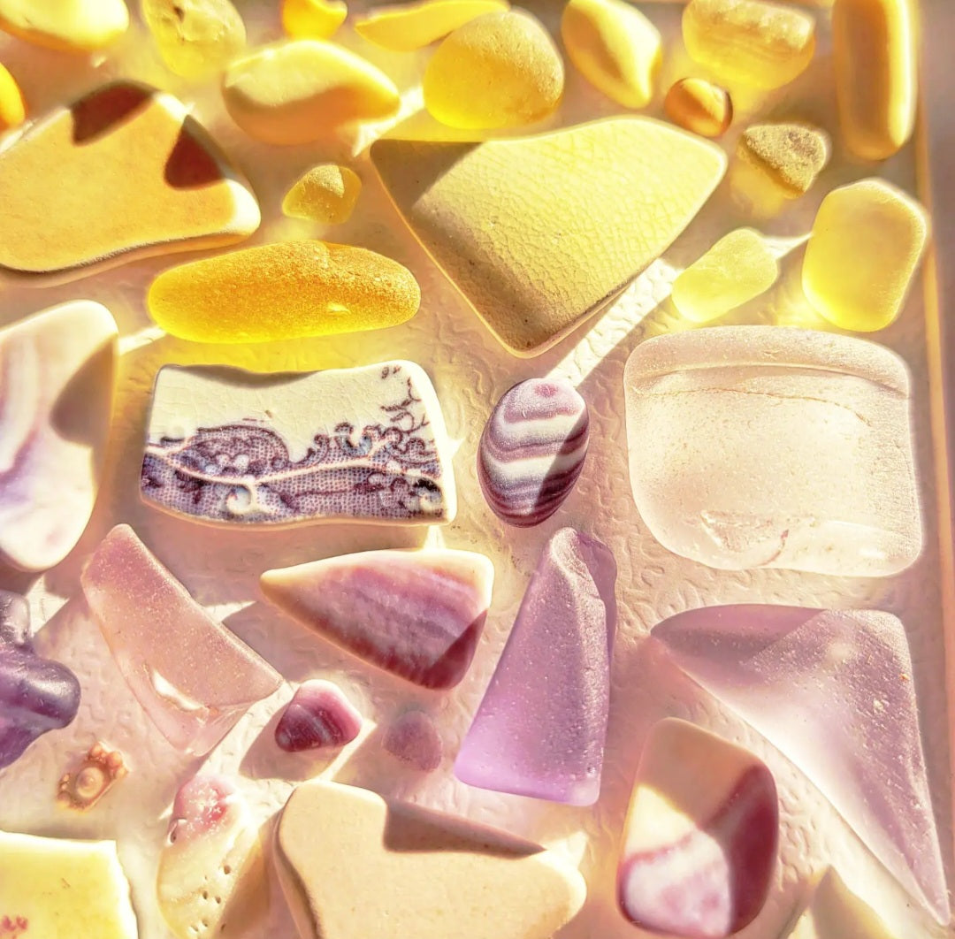 Moonmilk & Marigold - Sea Treasure Frame