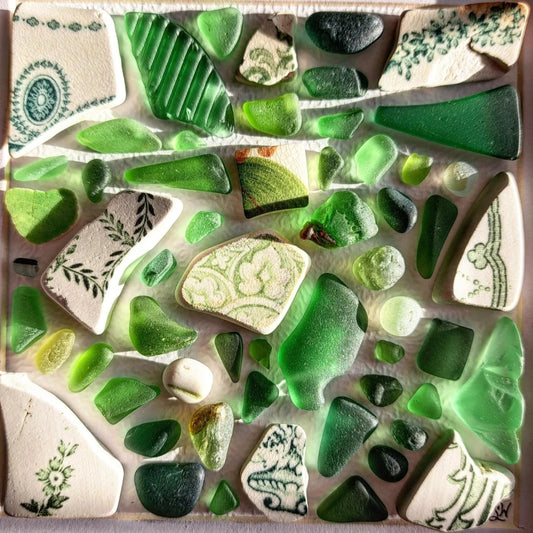 Summer's Canopy - Sea Treasure Frame