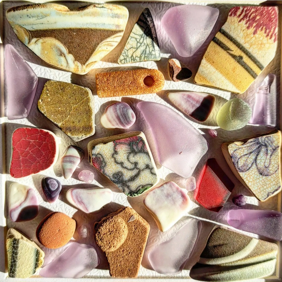 Mauve & Mocha - Sea Treasure Frame