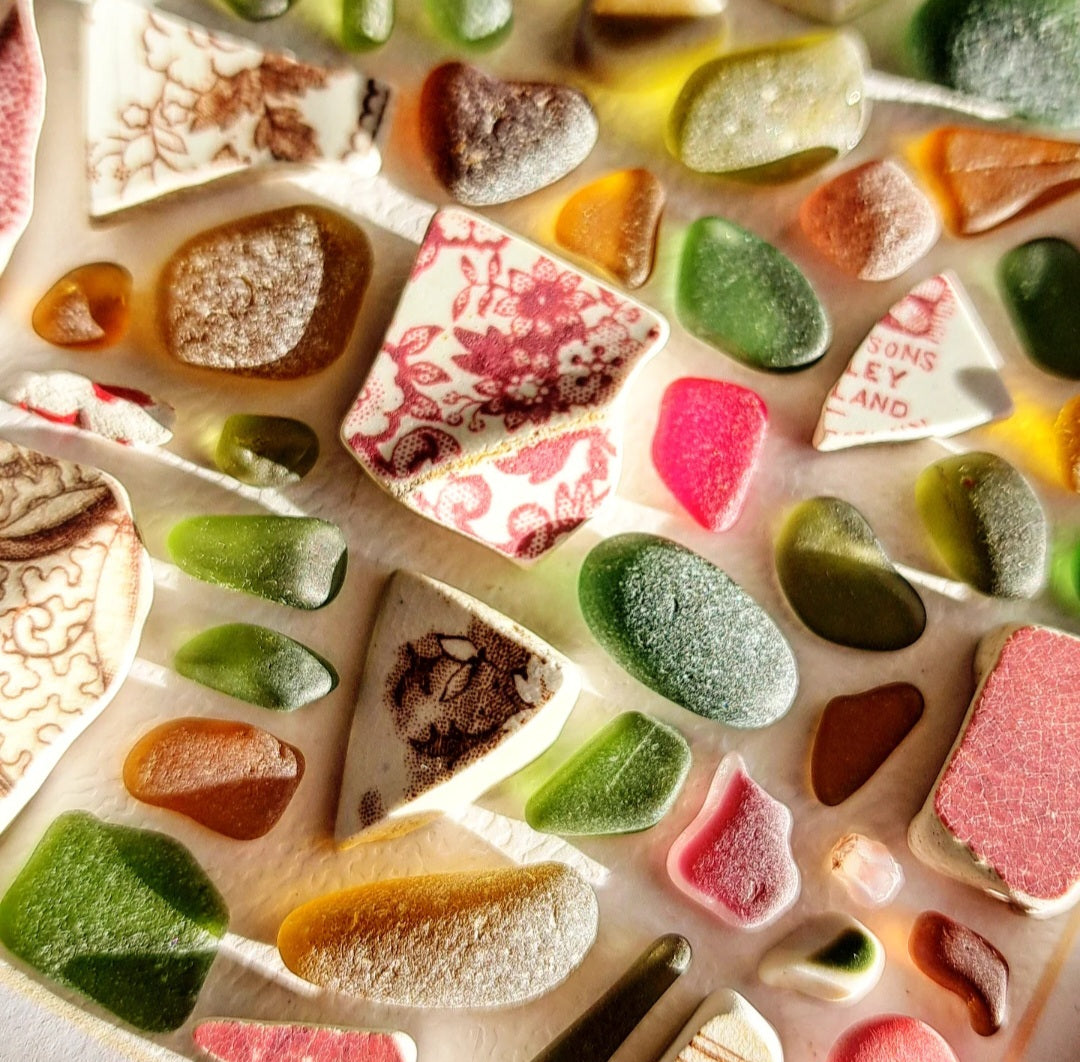 Autumn's Canopy - Sea Treasure Frame