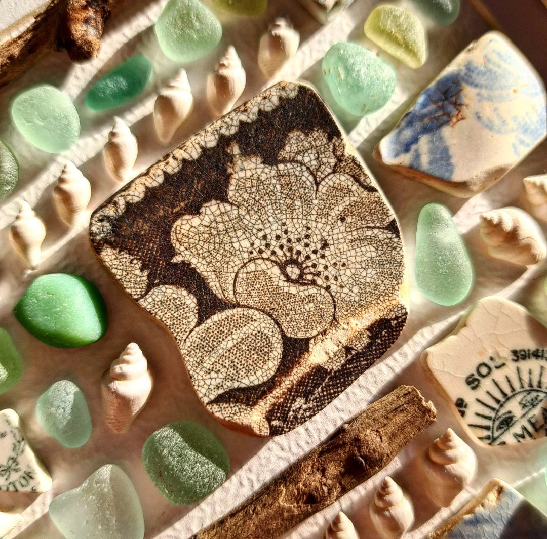 The Sea's Quiet Spell - Sea Treasure Frame