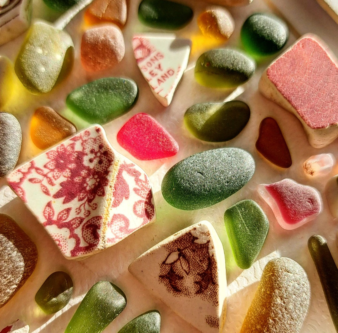 Autumn's Canopy - Sea Treasure Frame