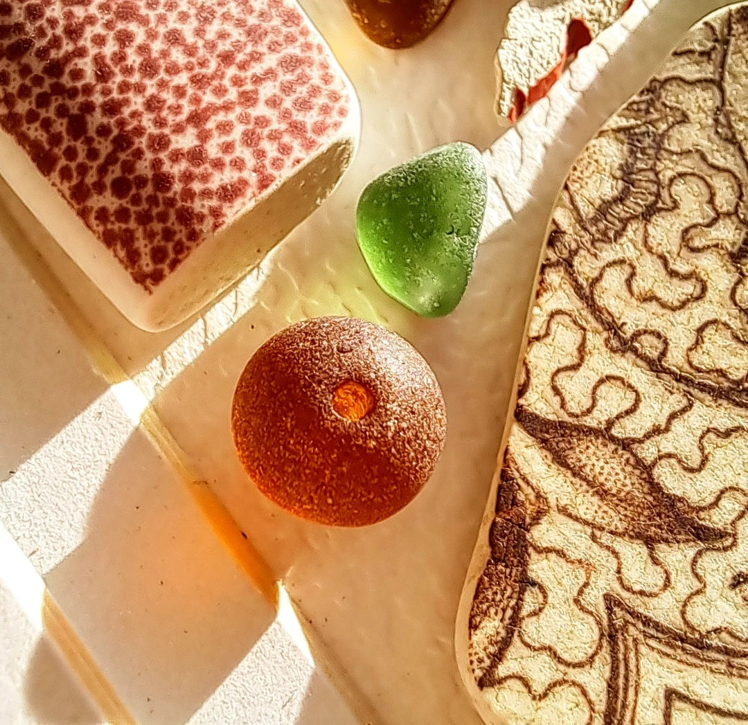 Autumn's Canopy - Sea Treasure Frame