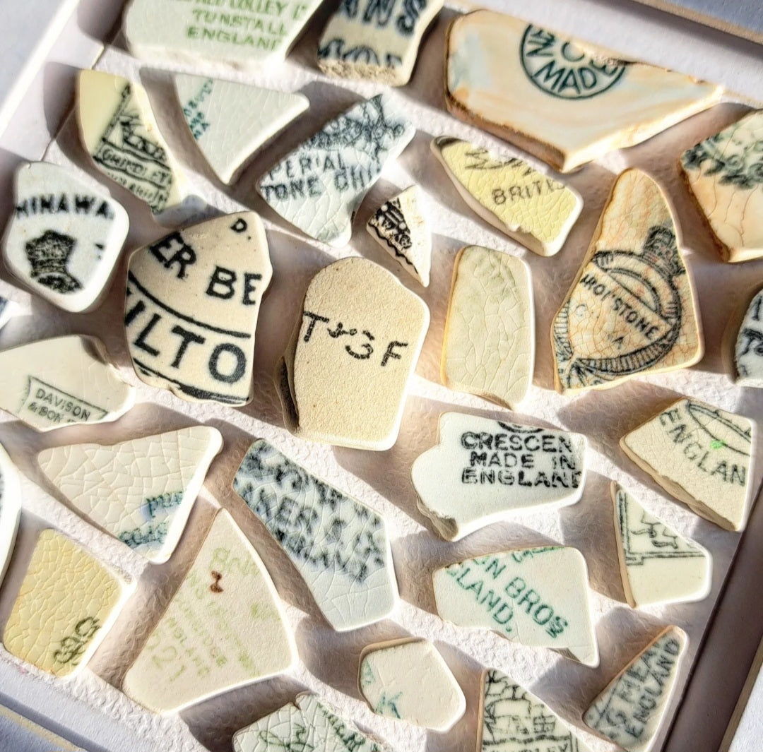 Stamped in Salt - Sea Treasure Frame