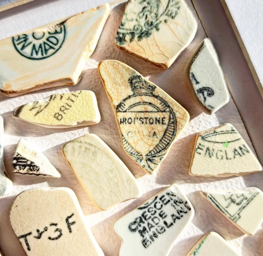 Stamped in Salt - Sea Treasure Frame