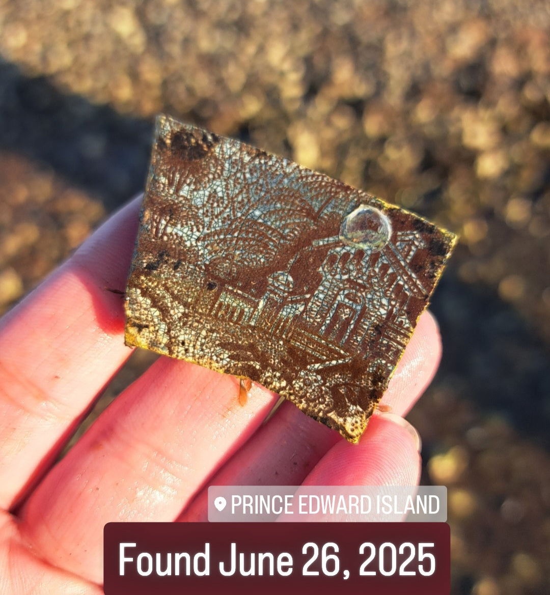 Garden of the Forgotten Palace - Sea Treasure Frame