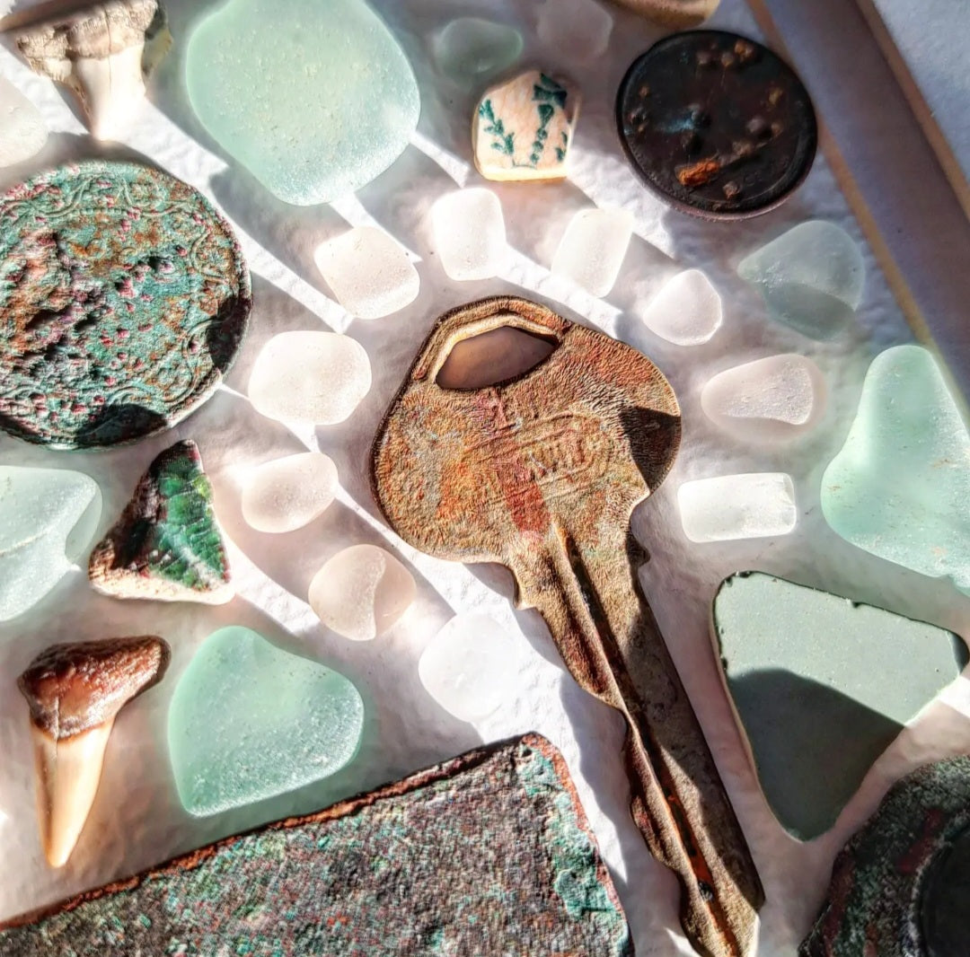 Ocean's Cabinet of Curiosities - Sea Treasure Frame