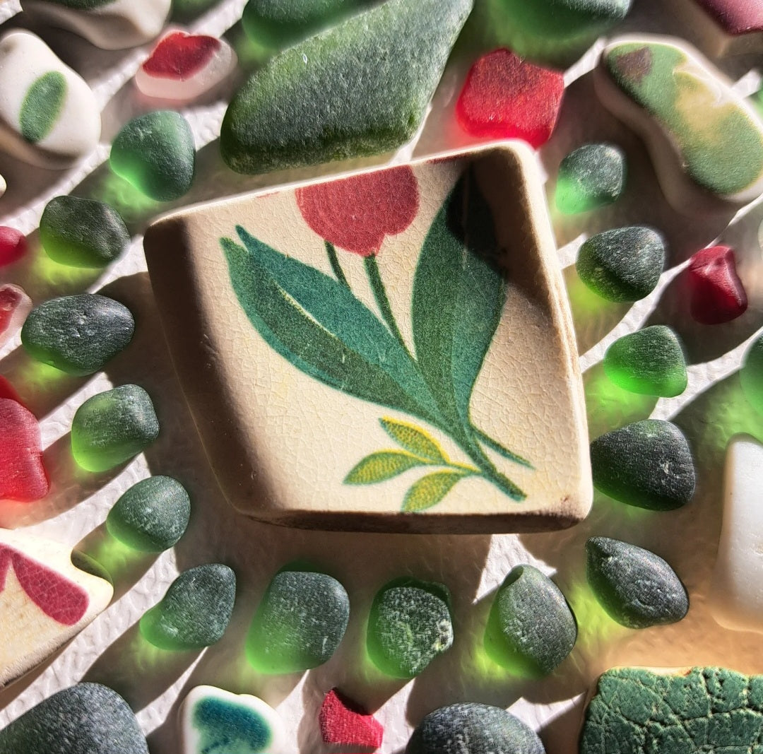 The Hidden Blossom - Sea Treasure Frame