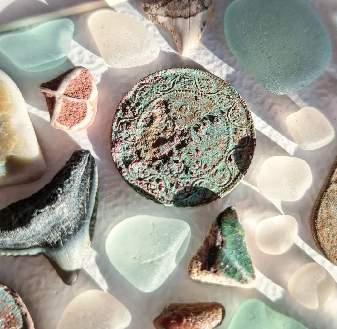Ocean's Cabinet of Curiosities - Sea Treasure Frame