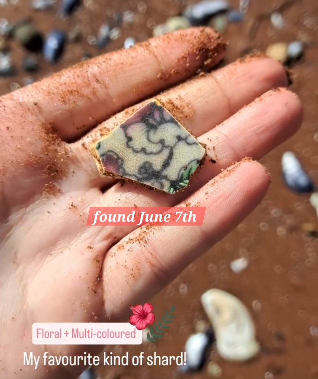 Mauve & Mocha - Sea Treasure Frame